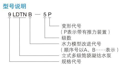 LDTN型凝結水泵型號說(shuō)明