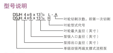 DSJH型石油化工流程泵型號說(shuō)明